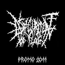 Promo 2011 mp3 Album by Disfigurement Of Flesh