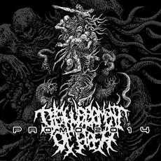 Promo 2014 mp3 Album by Disfigurement Of Flesh