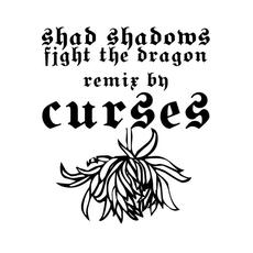 Fight the Dragon mp3 Single by Shad Shadows