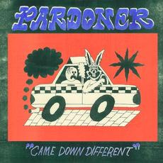 Came Down Different mp3 Album by Pardoner