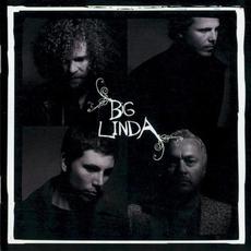 I Loved You mp3 Album by Big Linda