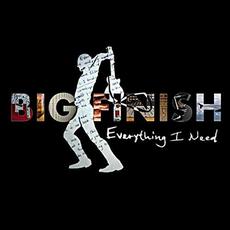 Everything I Need mp3 Album by Big Finish