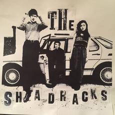 Tranquil Salvation mp3 Single by The Shadracks