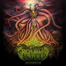 Aeternum mp3 Album by Gravewalker