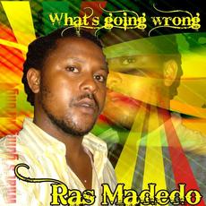 Whats Going Wrong mp3 Album by Ras Madedo