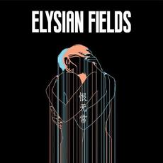 Transience of Life mp3 Album by Elysian Fields