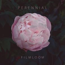 Perennial mp3 Album by FILMLOOM