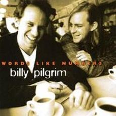 Words Like Numbers mp3 Album by Billy Pilgrim