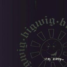 Stay Asleep mp3 Album by Bigwig