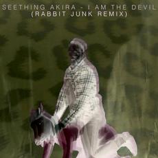 I Am the Devil (Rabbit Junk Remix) mp3 Single by Seething Akira