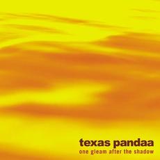 one gleam after the shadow mp3 Album by texas pandaa