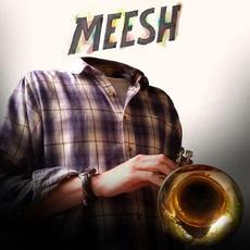 Meesh mp3 Album by tunnel traffic
