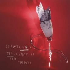 Slowthinking mp3 Album by The Ecstasy Of Saint Theresa