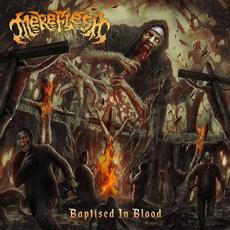 Baptised in blood mp3 Album by Mereflesh