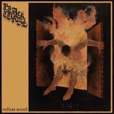 Endless Wound mp3 Album by Black Curse