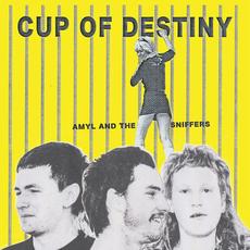 Cup Of Destiny mp3 Single by Amyl and The Sniffers