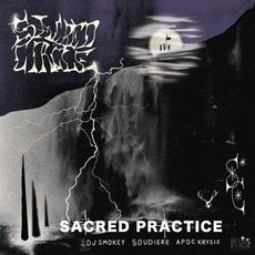 Sacred Practice mp3 Album by Sacred Circle