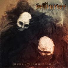 Lurkers in the Capsule of Skull mp3 Album by Veilburner