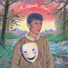 A Good Fool mp3 Album by Michael Seyer