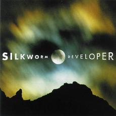 Developer (Japanese Edition) mp3 Album by Silkworm