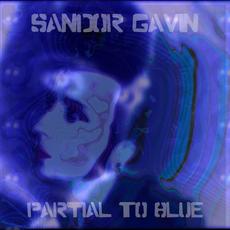 Partial to Blue mp3 Album by Sandor Gavin