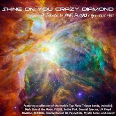 Shine On You Crazy Diamond: A Tribute To Pink Floyd's Greatest Hits mp3 Compilation by Various Artists