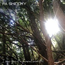 I Saw You At A Funeral (Acoustic) mp3 Single by Pa Sheehy