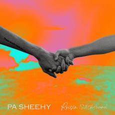 Róisín (SUPER-Hi Remix) mp3 Single by Pa Sheehy