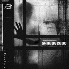 A Journey Through Concern mp3 Album by Synapscape