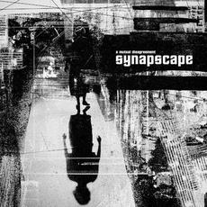 A Mutual Disagreement mp3 Album by Synapscape