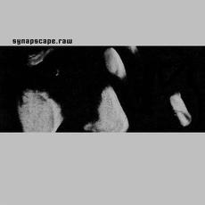 Raw mp3 Album by Synapscape