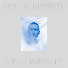 Pillar of Salt mp3 Album by Noah Gundersen