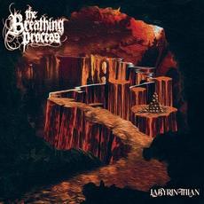 Labyrinthian mp3 Album by The Breathing Process