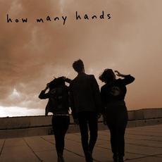 How Many Hands mp3 Single by The Accidentals