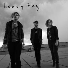 Heavy Flag mp3 Single by The Accidentals