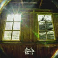 Distant Thunder mp3 Album by Black Swamp Water