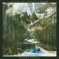 A Life You Would Choose mp3 Album by Hayden Calnin