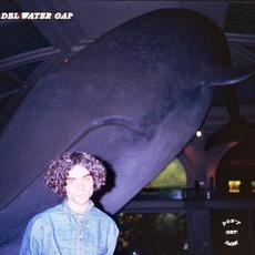 Don't Get Dark mp3 Album by Del Water Gap