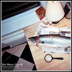 Sleeping mp3 Album by Del Water Gap