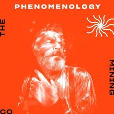 Phenomenonology mp3 Album by The Mining Co.