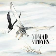 Neighborhood Bird Dispute mp3 Album by Nomad Stones