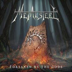 Forsaken by the Gods mp3 Album by Metalsteel