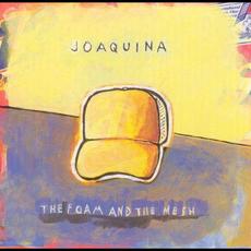 The Foam and the Mesh mp3 Album by Joaquina
