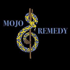 Mojo Remedy mp3 Album by Gilby Hager