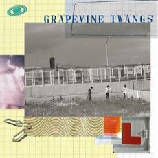 TWANGS mp3 Album by GRAPEVINE