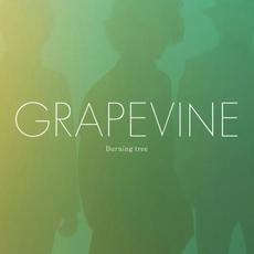 Burning tree mp3 Album by GRAPEVINE