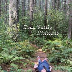 Pinecone mp3 Album by Doug Tuttle