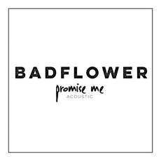 Promise Me (Acoustic) mp3 Single by Badflower