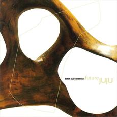 Future JuJu mp3 Album by Black Jazz Chronicles