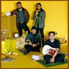 Bulls and Roosters B-Sides mp3 Album by together PANGEA